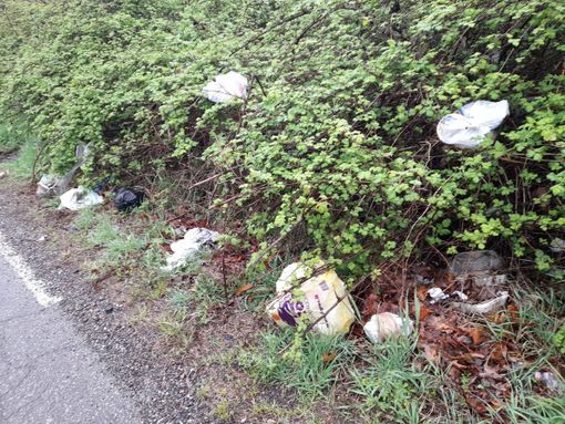 Domenica la “Giornata del Verde Pulito”