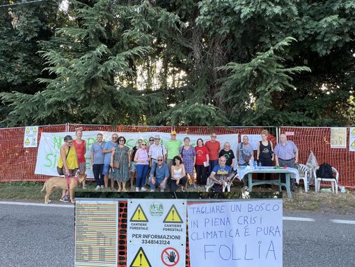 Il Comitato Salviamo gli Alberi: «Quanti animali feriti nel boschetto? Abbiamo urgenza di entrare con i veterinari»