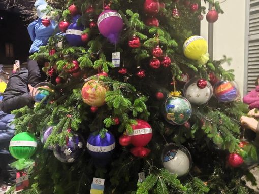 FOTO. A Castellanza l'albero per la pace è di tutti i bambini FOTO. A Castellanza l'albero per la pace è di tutti i bambini