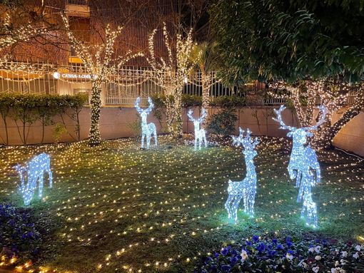 La magia del Natale prende casa, anzi luce a Busto Arsizio. VIDEO E FOTO La magia del Natale prende casa, anzi luce a Busto Arsizio. VIDEO E FOTO