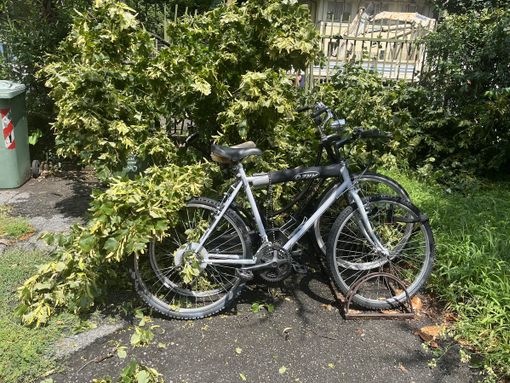 (immagine di repertorio)