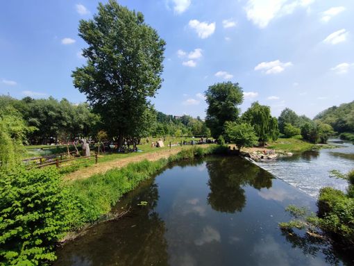 Riconoscere e utilizzare le erbe della Valle Olona, tutto esaurito per il corso a Fagnano