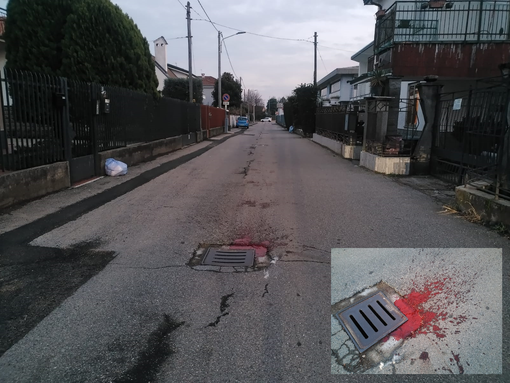 D'accordo con la Polizia locale pubblichiamo queste foto pur dolorose perché siano un messaggio per chi non ha rispetto per la vita