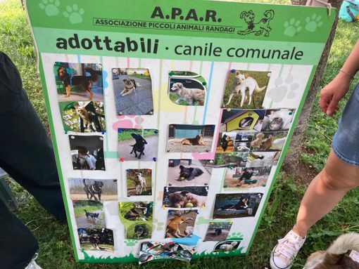 L'elenco degli adottabili e due volontarie dell'Apar mentre si attende l'arrivo dei cagnolini del canile