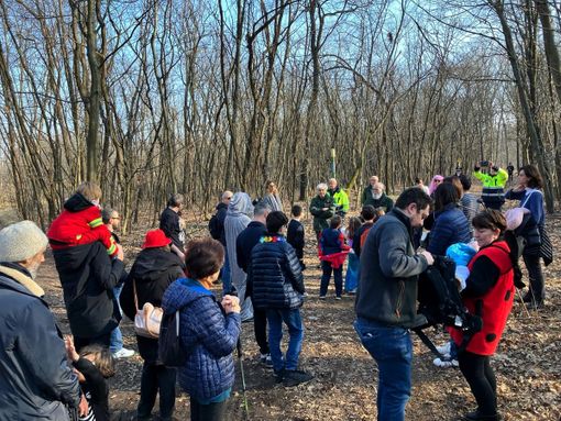 FOTO. A Marnate il Carnevale si festeggia nei boschi