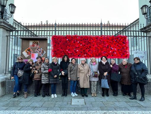 Dalla panchina alle rose con l'uncinetto: Castellanza contro la violenza sulle donne. «Metà delle 126 assistite da Icore viene dalla Valle»