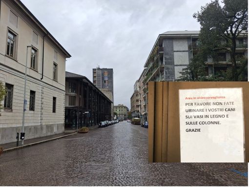 «Vogliamo un centro sicuro, ben arredato, illuminato e pulito» «Vogliamo un centro sicuro, ben arredato, illuminato e pulito»