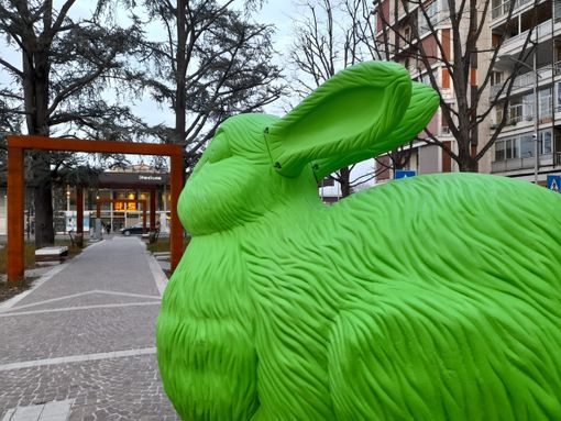 Il coniglio di piazza Giovanni XXIII - Le foto delle altre installazioni e della presentazione in fondo all'articolo