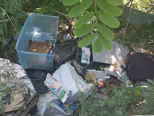 FOTO. Spazzatura, topi e incendi all’ex Convitto di via Cantoni a Castellanza FOTO. Spazzatura, topi e incendi all’ex Convitto di via Cantoni a Castellanza