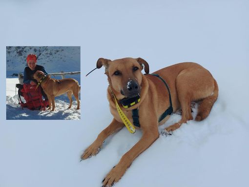 Dall'appello di Facebook e dal profilo di Vanessa: