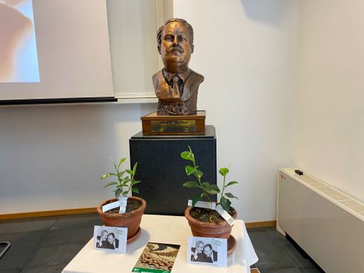 “Noi siamo Giovanni Falcone”. Due piante di Ficus a Gallarate per seminare legalità