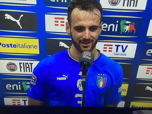 foto di archivio - Gatti con la maglia nazionale