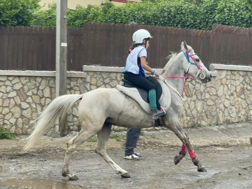 Ancora successi nell’endurance equestre per la Scuderia Esse Ci