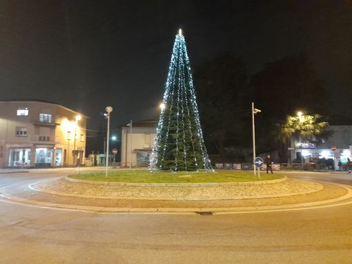 L'albero acceso in serata a Cassano L'albero acceso in serata a Cassano