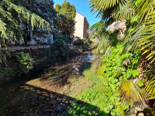 Gallarate: l’Arnetta s’è desta?