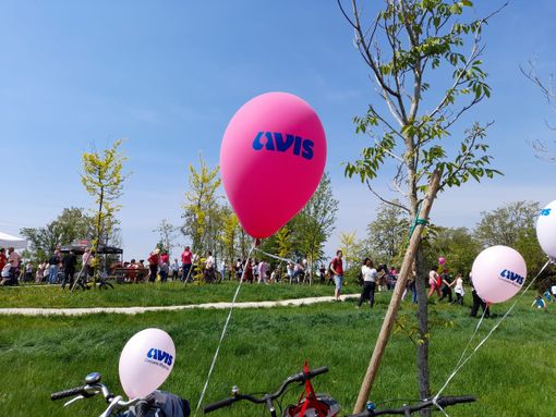 A Borsano la conferenza “L’ictus - riconoscerlo, curarlo, prevenirlo”
