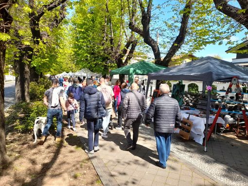 Gazebo e visitatori in viale Rimembranze