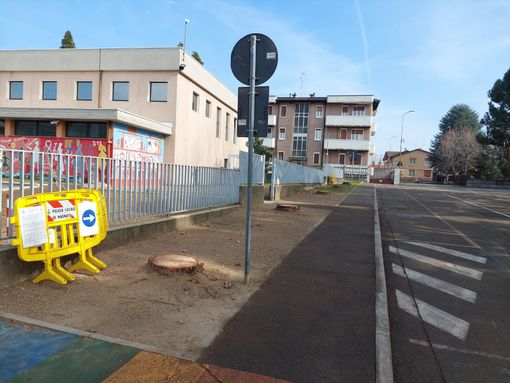 Marnate, Legambiente al sindaco: «Avete distrutto esemplari arborei sani»