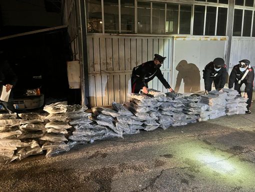 VIDEO. Maxi sequestro di droga messo a segno dai carabinieri di Varese: nel rimorchio sotto il trattore spuntano 220 chili di hashish e marijuana VIDEO. Maxi sequestro di droga messo a segno dai carabinieri di Varese: nel rimorchio sotto il trattore spuntano 220 chili di hashish e marijuana