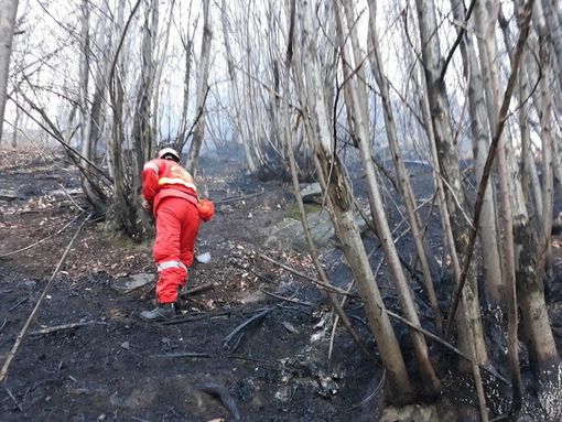 La protezione civile lombarda: «Allerta arancione per rischio incendi nei boschi» La protezione civile lombarda: «Allerta arancione per rischio incendi nei boschi»
