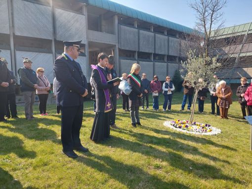 La comunità castellanzese si stringe intorno all’ulivo in memoria delle vittime del covid
