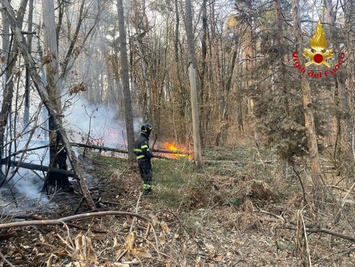 FOTO. Ancora fiamme nel Varesotto: bruciano i boschi a Vergiate, Tradate e Casale Litta