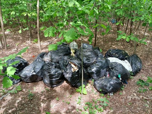 Marnate, volontari in azione. Pulizia straordinaria del Bosco del Rugareto Marnate, volontari in azione. Pulizia straordinaria del Bosco del Rugareto