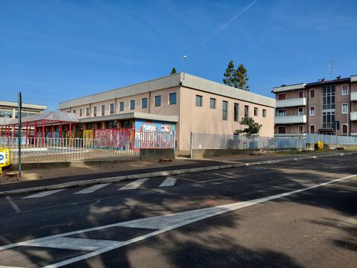 Il Comune di Marnate taglia i pini di fronte alla scuola. «Scelta difficile ma necessaria»