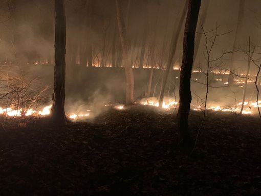Il bosco in fiamme a Marnate