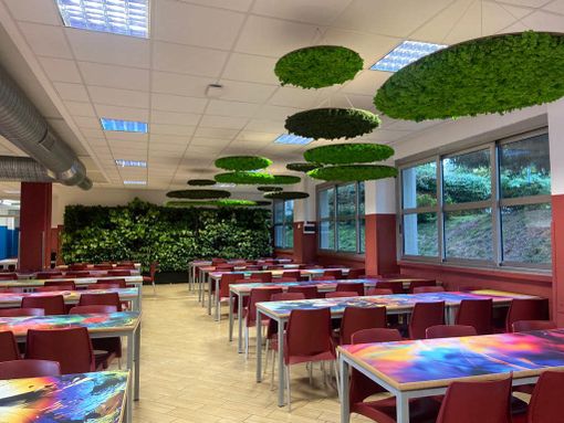 La scuola si tuffa nel verde: «Così ci si emoziona e si insegna a coltivare bellezza» La scuola si tuffa nel verde: «Così ci si emoziona e si insegna a coltivare bellezza»