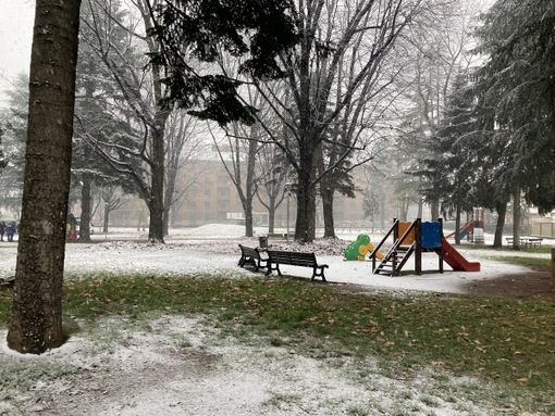 La neve imbianca tetti e giardini (parco di viale Stelvio, Busto ore 11)