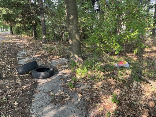 Gli sporcaccioni sono costati oltre 23mila euro a Busto. Ma da ottobre nuova telecamera e raffica di accertamenti: «Mille euro anche solo per un sacchetto»