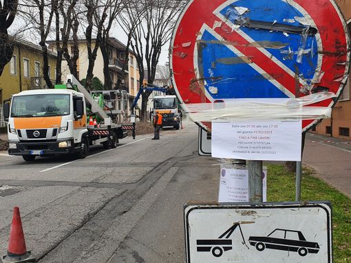 L'intervento di potatura in via Cadore