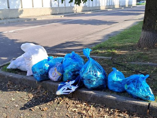 Castellanza ha due angeli speciali che la tengono pulita. Uno ha raccolto 432 sacchi in 10 mesi Castellanza ha due angeli speciali che la tengono pulita. Uno ha raccolto 432 sacchi in 10 mesi