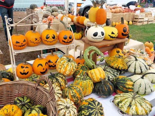 TUTTE LE LE FOTO. Zucca superstar in Valle TUTTE LE LE FOTO. Zucca superstar in Valle