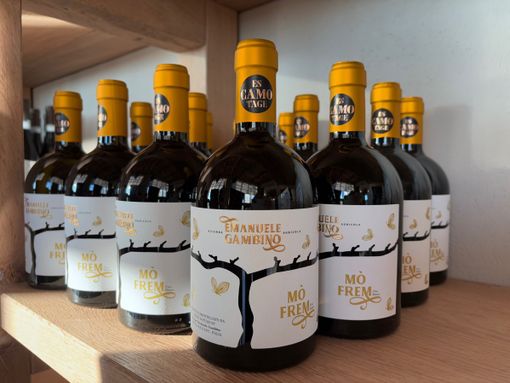 Emanuele Gambino Winery: una giovane eccellenza a Costigliole d’Asti riconosciuta a livello internazionale