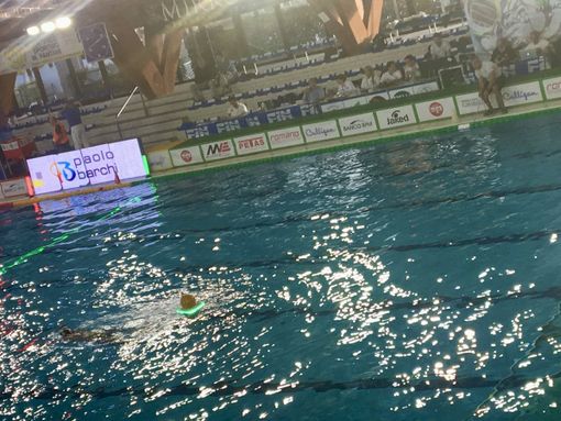 foto d'archivio foto d'archivio