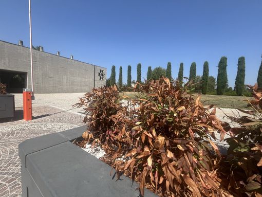 Pianta secca e telecamera in perenne attesa: il triste benvenuto al cimitero di Busto
