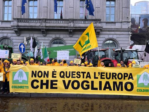 Ue, Coldiretti: agricoltori del Varesotto in piazza a Bruxelles. A rischio oltre 14 miliardi di produzioni agroalimentari lombarde Ue, Coldiretti: agricoltori del Varesotto in piazza a Bruxelles. A rischio oltre 14 miliardi di produzioni agroalimentari lombarde