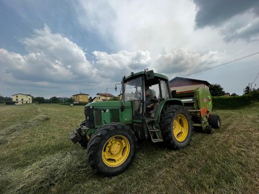 La lotta degli agricoltori varesini contro la siccità: «I nostri campi come la Sardegna: siamo solo a giugno e facciamo almeno il 50% di prodotto in meno»