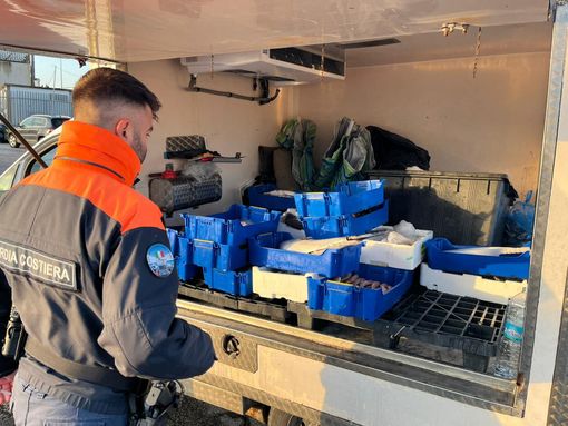 Una task force per cercare il ragazzo di 25 anni scomparso a Tradate: in azione 60 soccorritori