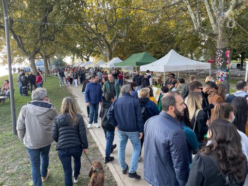 Un momento dell'edizione 2021 della Festa della Zucca di Gavirate Un momento dell'edizione 2021 della Festa della Zucca di Gavirate
