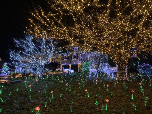 Lucine di Laveno, tra polemiche sui costi dei biglietti e qualche anticipazione sullo spettacolo. La parola alla famiglia Betti