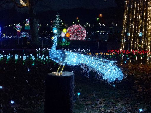 Le lucine di Laveno &quot;illuminano&quot; tutta la città e fanno sognare gli innamorati
