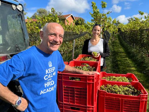 L'enologo Giovanni Caprioglio e Pascale Cazzani nelle vigne di Morazzone davanti al primo raccolto della stagione