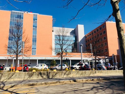 Stewardship: superata la fase sperimentale per un progetto dedicato a migliorare la comunicazione e l'accoglienza in Pronto Soccorso Stewardship: superata la fase sperimentale per un progetto dedicato a migliorare la comunicazione e l'accoglienza in Pronto Soccorso