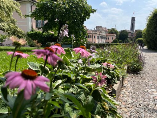Primavera alle porte, sole in arrivo sul Varesotto: «Domani clima mite e temperature fino a 20 gradi»