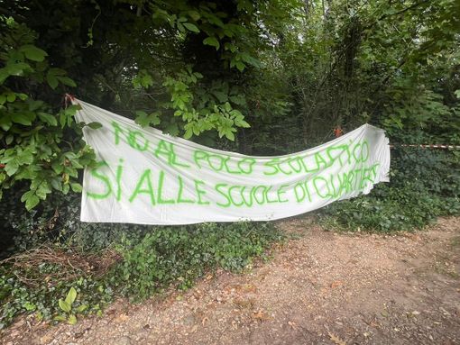 FOTO. Gli attivisti del comitato &quot;Salviamo gli alberi di Gallarate&quot; bloccano i lavori del polo scolastico