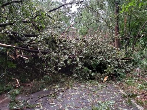Maltempo: disagi e rallentamenti sulle linee ferroviarie, in campo anche Regione Lombardia: «Grande impegno per ripristinare il servizio»