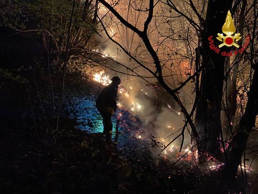 FOTO e VIDEO. Una notte di lavoro per fermare il rogo nei boschi di Montegrino: due chilometri il fronte dell'incendio. Tornano i Canadair FOTO e VIDEO. Una notte di lavoro per fermare il rogo nei boschi di Montegrino: due chilometri il fronte dell'incendio. Tornano i Canadair